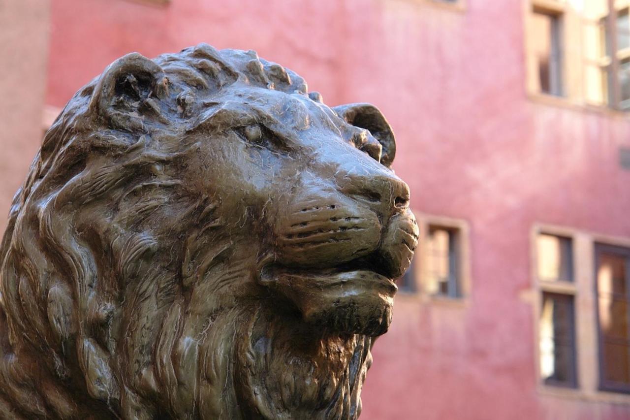 Mhl - Maison Hotel Lyon Dış mekan fotoğraf